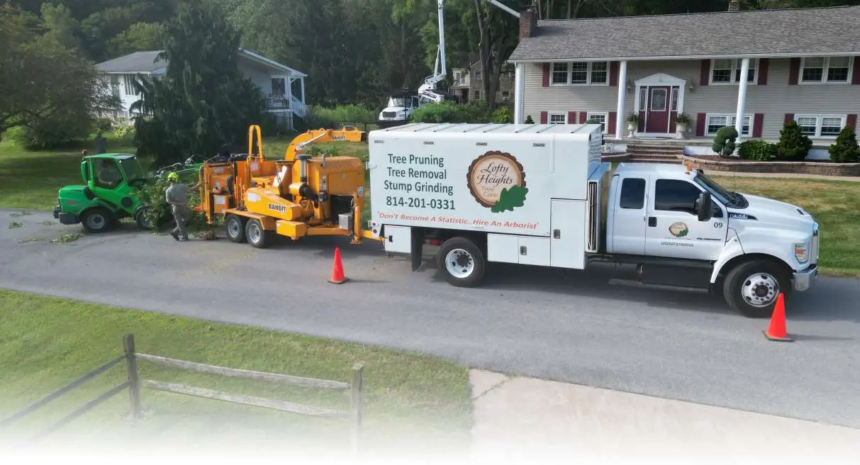 Lofty Heights Tree Care Chipper Services