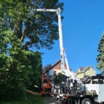 Tree Removal Price Ranges