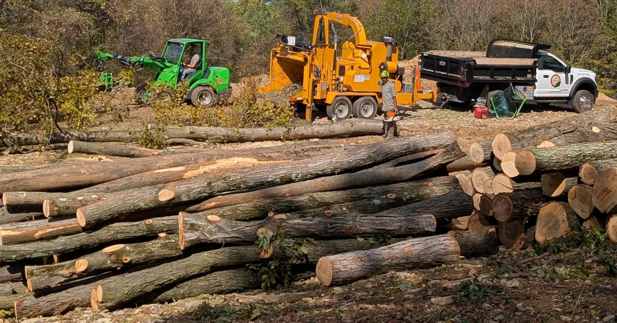 Land Clearing Services in Altoona & Blair County, PA