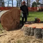 Tree Removal