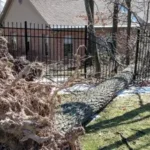 24/7 Emergency Tree Service