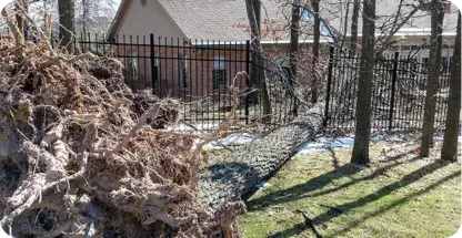 24/7 Emergency Tree Service