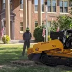 Stump Grinding & Removal