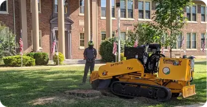 Stump Grinding & Removal