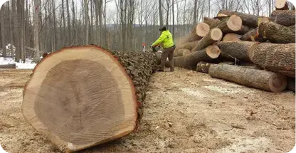 Lot Clearing